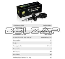 Амортизатор PEUGEOT Boxer CITROEN Jumper FIAT Ducato (94-) передний левый/правый TRIALLI